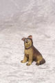 Schäferhund Holzkrippenfigur der Südtiroler Holzschnitzerei Dolfi Handbemalt